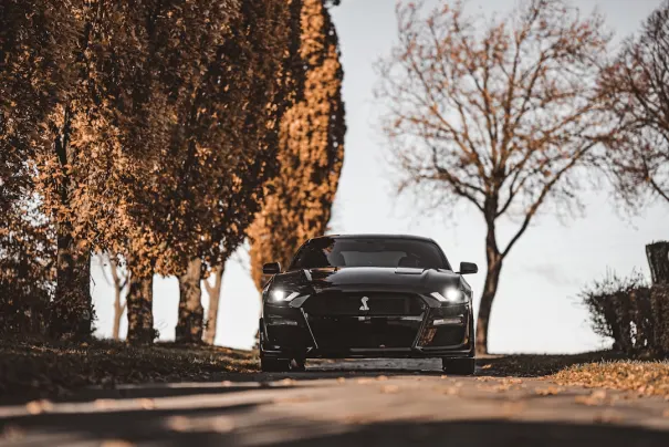 Fbet Casino Android/iOS Forrit